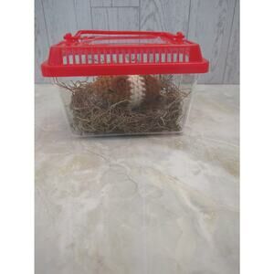 Fuss free guinea pig